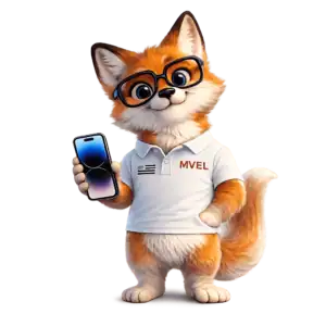 Agence Web MVEL qui Sommes-Nous