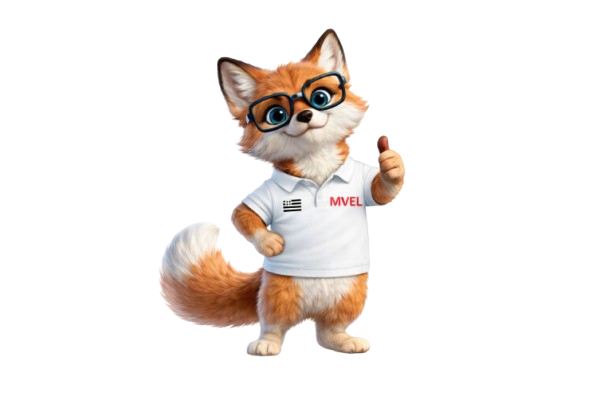 MVEL une Agence Web à Sarzeau près de Vannes