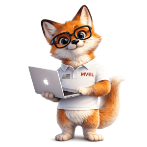 Nos Expertises Création de Sites, SEO & Google Ads MVEL