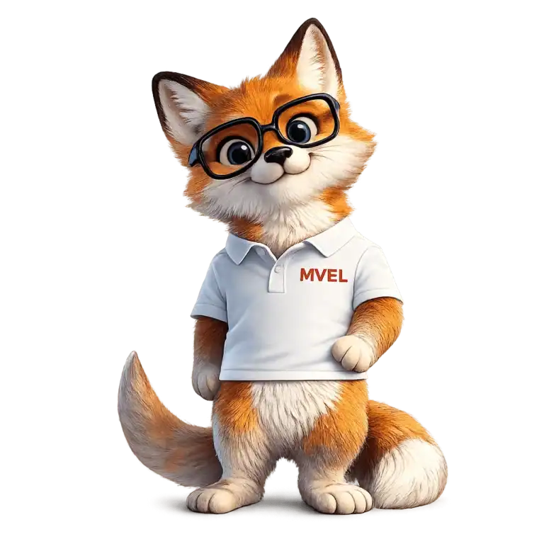 Pourquoi le Renard Identité de MVEL votre agence web à vannes